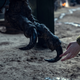 There’s a story behind every claw.